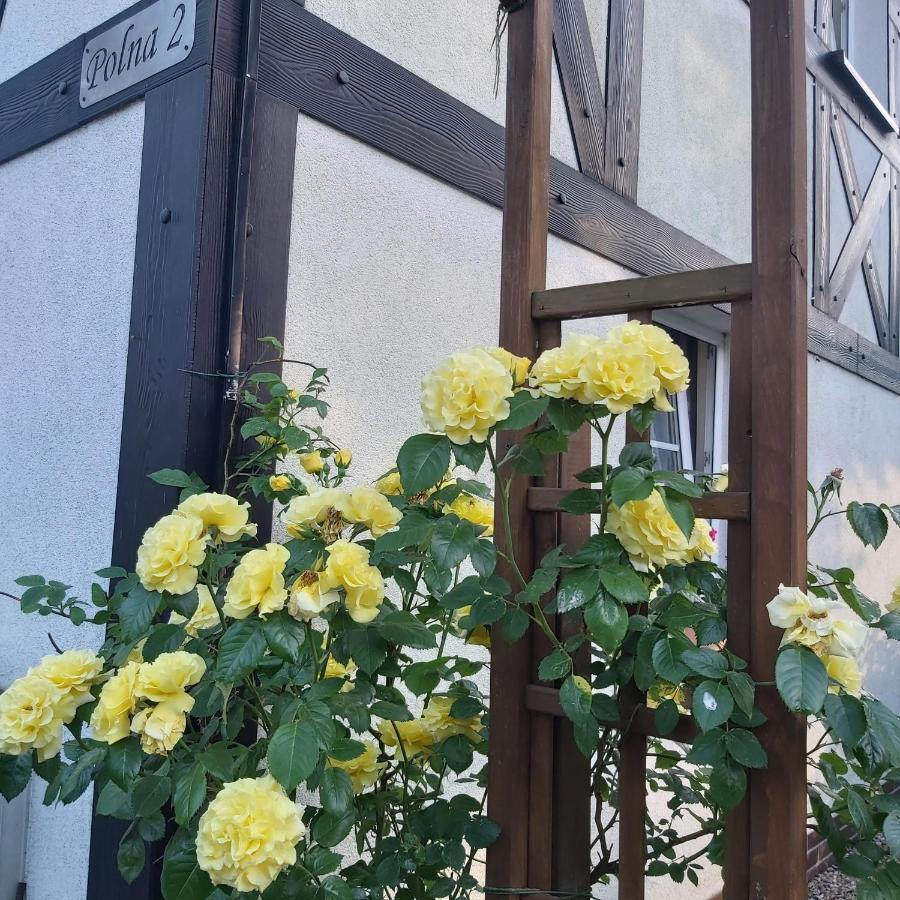 Nadmorskie Apartamenty Ustka Ngoại thất bức ảnh